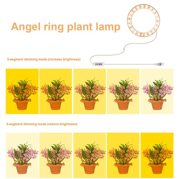 Angel Ring Plant Growth Light Sunlight Phytolamp USB Waterproof Nursery Lamp Indoor Plants Bonsai Flowers Seedlings Growth - Image 6