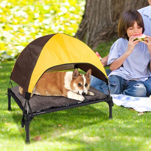 Outdoor Dog Bed Foldable Elevated Dog Bed With Removable Canopy Portable