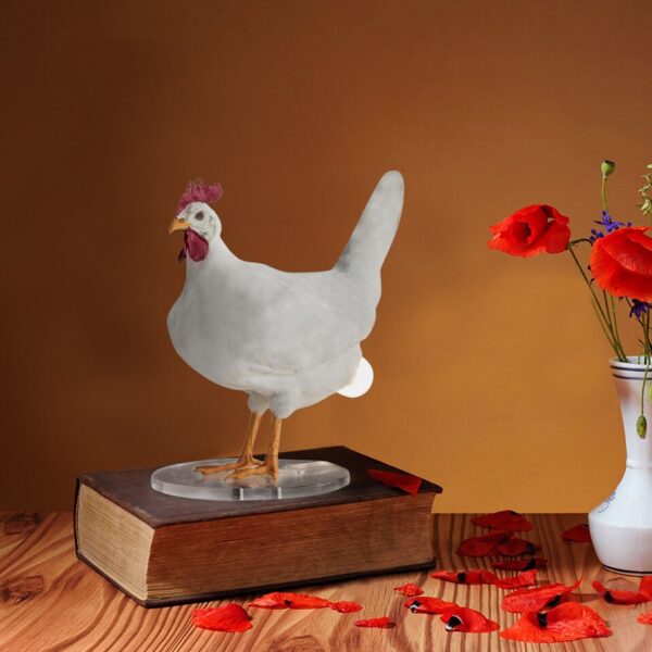 led creative night light Hen lays eggs bedside table lamp novelty lamp funny gift home decoration night lamps rechargeable lamp - Image 2